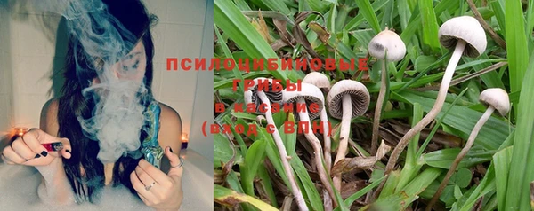 2c-b Белоозёрский