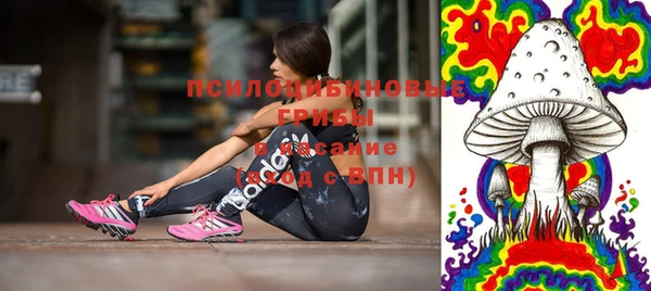 СК Белокуриха