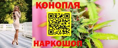 СК Пугачёв