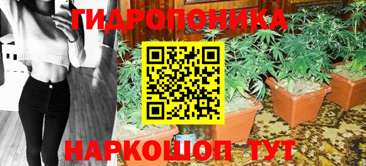 Канабис конопля  Бошки марихуана индика  Бошки Шишки семена  Саяногорск  Вход с VPN 